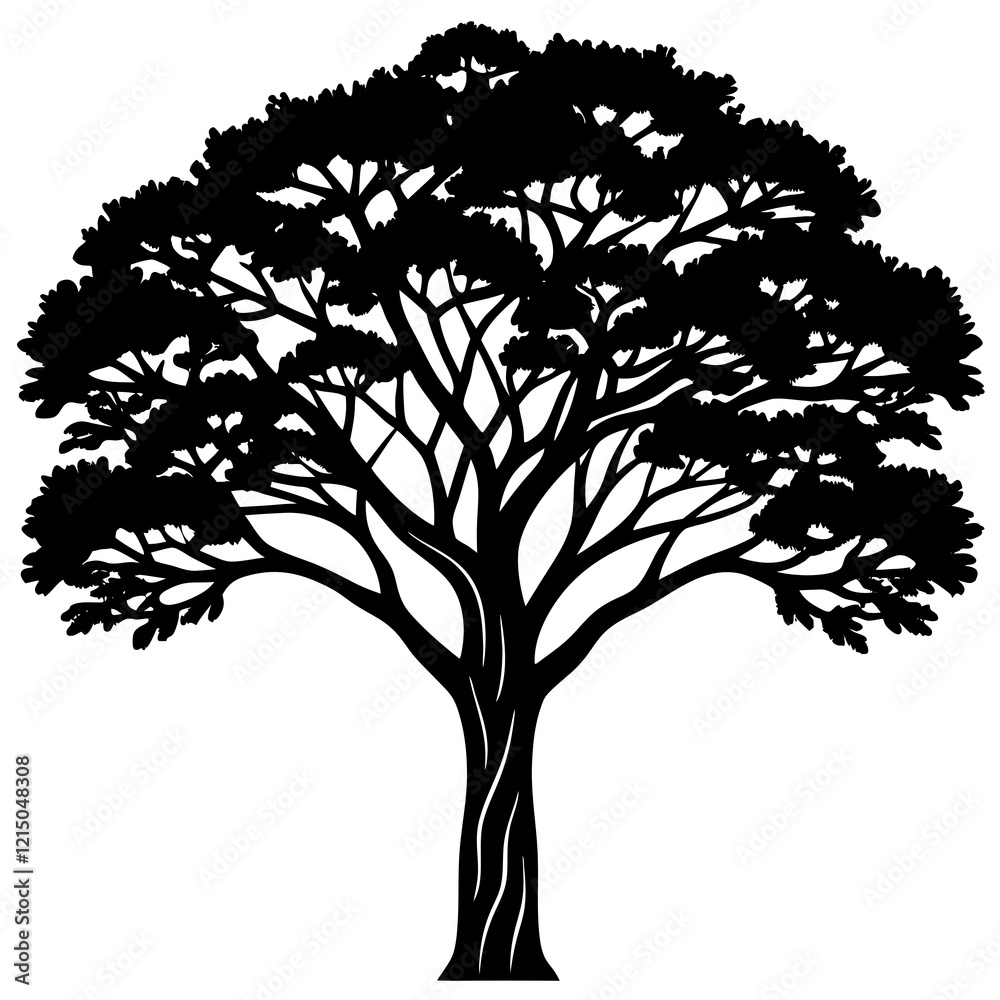 Fototapeta premium silhouette of tree