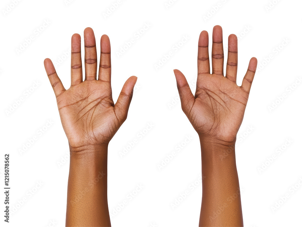 Isolated Pair of African American Hands Isolated Pair of African American Hands