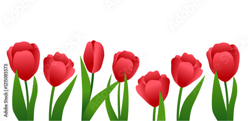 Tulips.A collection of red tulips, a bouquet of tulips.Vector illustration isolated on a white background. Flowers for the holiday. March 8th