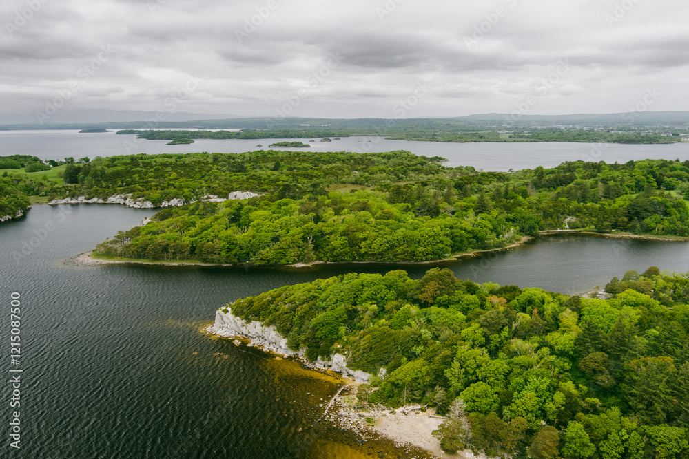 Aerial view of large pine trees on a banks of Muckross Lake, also called Middle Lake or The Torc, located in Killarney National Park, County Kerry, Ireland Aerial view of large pine trees on a banks of Muckross Lake, also called Middle Lake or The Torc, located in Killarney National Park, County Kerry, Ireland