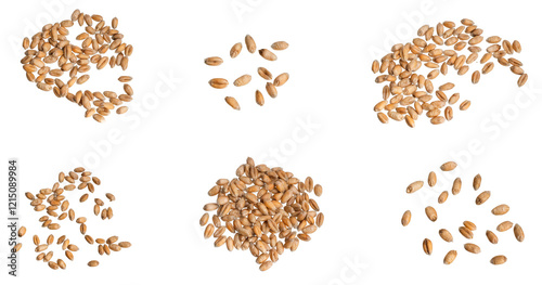 wheat grains isolated on white background	