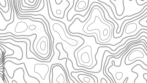 Topography and geography map grid abstract backdrop. Business concept. Fish Fillet Texture, Salmon fillet texture, fish pattern. paper texture