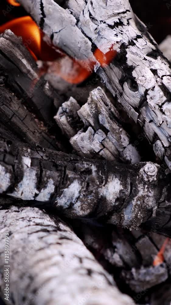 Close up of blazing fire. Flames of piece of firewood on open campfire Close up of blazing fire. Flames of piece of firewood on open campfire