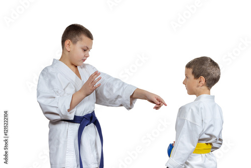 On a white isolated background two boys athletes with a blue and yellow belt photo