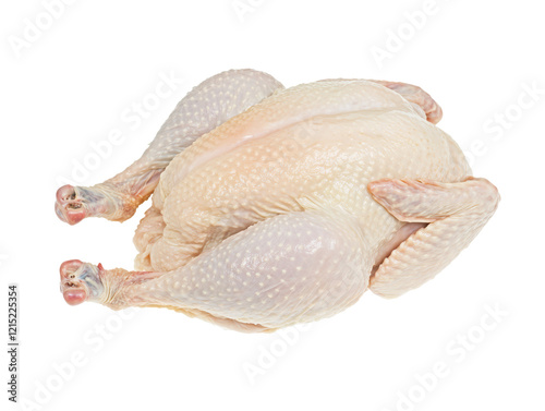 Isolated Raw Chicken photo