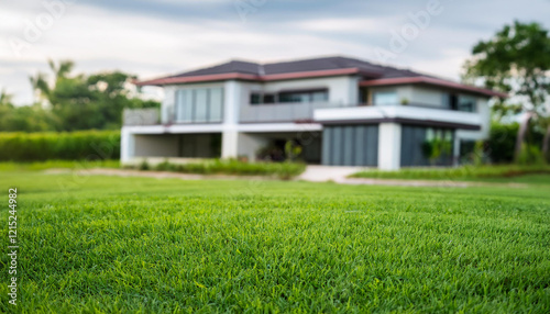 Wallpaper Mural Green grass in backyard garden, blurred modern house on backdrop. Fresh lawn. Property for sale Torontodigital.ca
