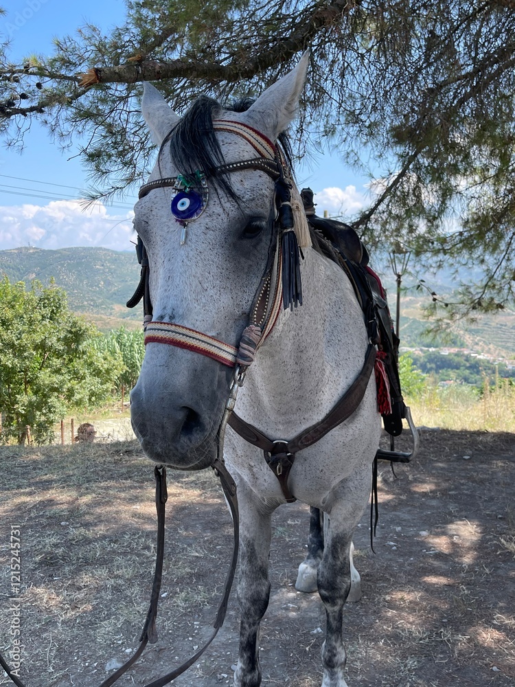 Fototapeta premium horse in the stable
