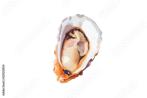 fresh oyster isolated illustration