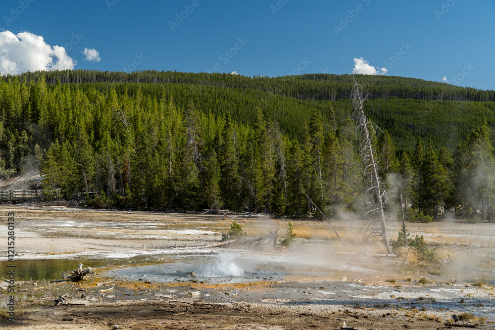 Hot springs in the Back Basin, part of the Norris Geyser Basin in Yellowstone National Park Hot springs in the Back Basin, part of the Norris Geyser Basin in Yellowstone National Park