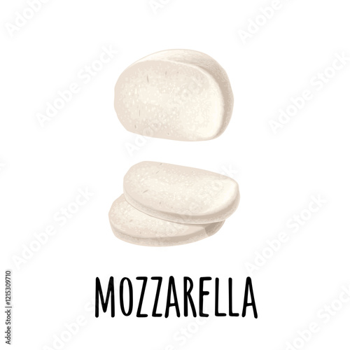 Mozzarella cheese half and slices. Vector color icon isolated on white background.