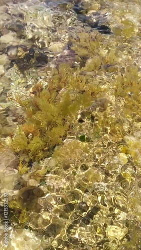 water flowing over rocks