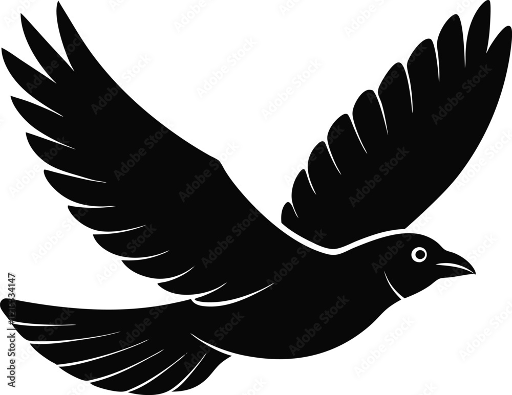 Obraz premium dove in flight illustration vector art 