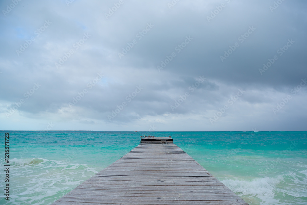 Fototapeta premium Seagull on a pier overlooking the Caribbean Sea.