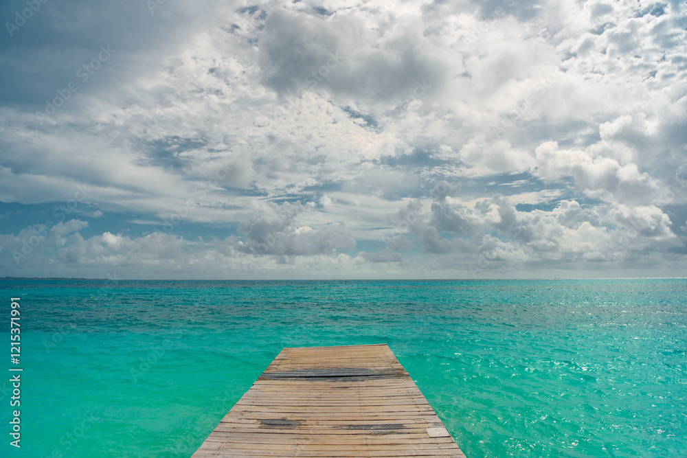 Fototapeta premium Seagull on a pier overlooking the Caribbean Sea.