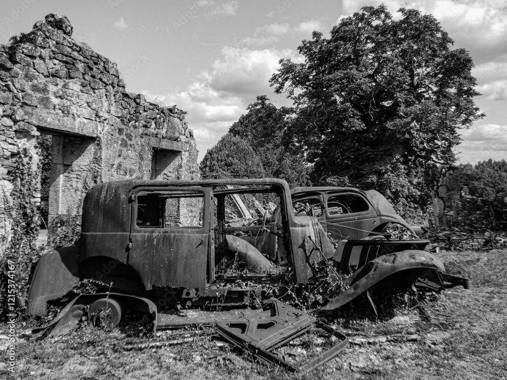 Fototapeta premium Abandoned Rusty Cars