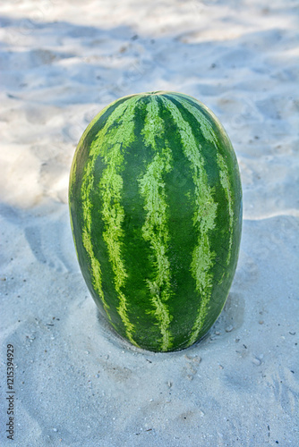 a large watermelon on the sand in the vertical position