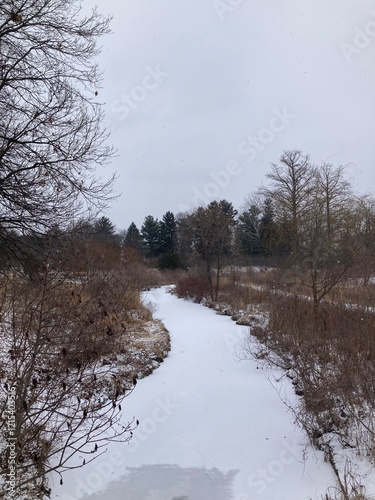 Wallpaper Mural river in winter Torontodigital.ca
