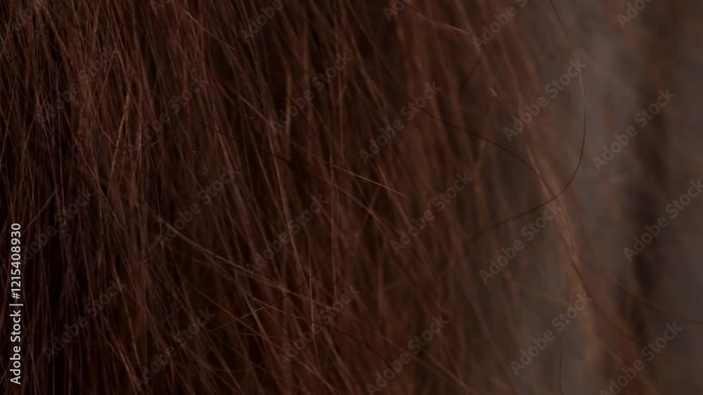 Closeup of brown hair highlights dryness and rough texture. Dry brown hair needs intensive hair care. Brown hair dryness concept in beauty routine.