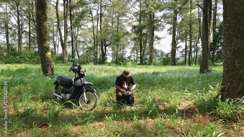 A solo traveler is preparing a flysheet tent in a green and lush pine forest area. Asian men touring and adventuring alone in the jungle and setting up flysheets for bushcraft and camping