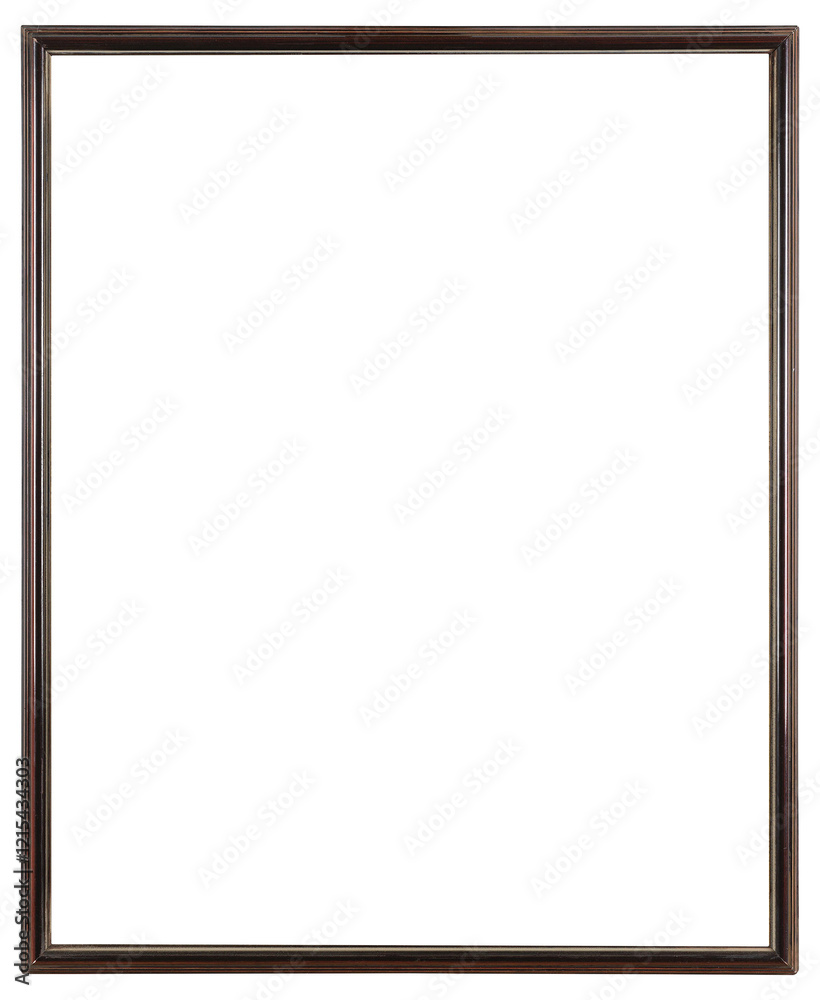 Narrow large black picture frame on transparent background, in PNG format. Narrow large black picture frame on transparent background, in PNG format.