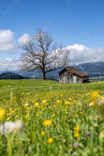 Frühling im Allgäu