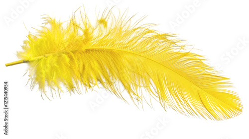 Yellow feather isolated on white background