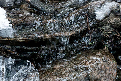 A frozen stream in a coniferous forest that seems to have stopped time, Norway