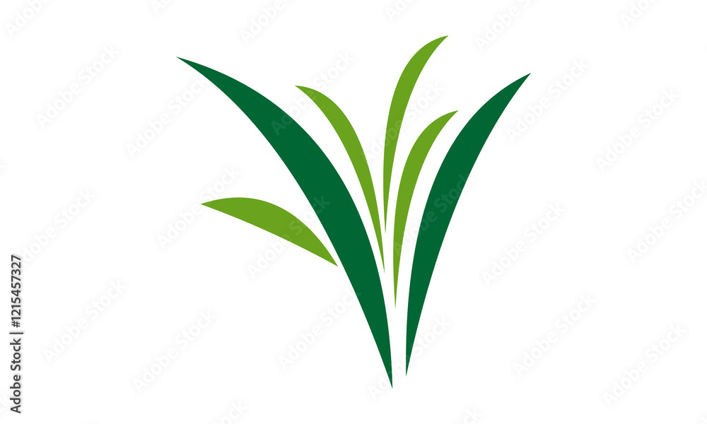 Fototapeta premium green leaf logo design