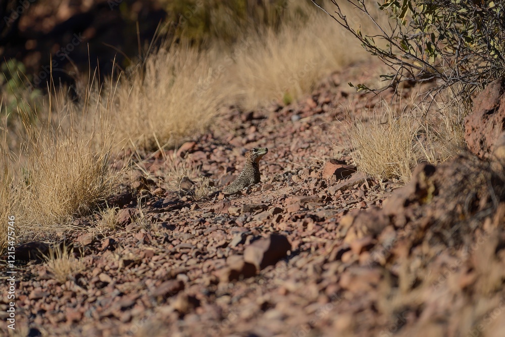 A thorny devil blending into the arid landscape of the Outback, its spiky body adapted for desert life. A thorny devil blending into the arid landscape of the Outback, its spiky body adapted for desert life.