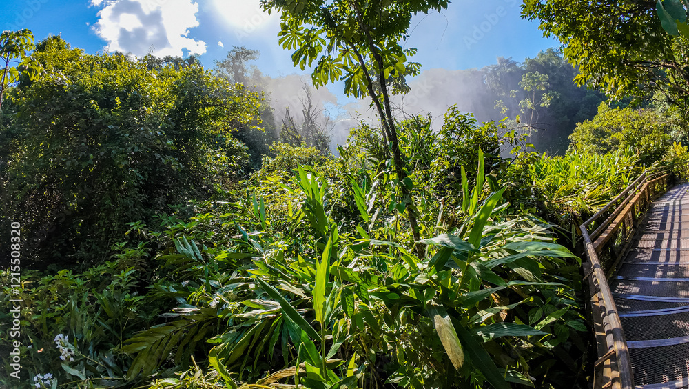 Obraz premium Brasilien, Pflanzen, Tiere, Landschaften, Wasser