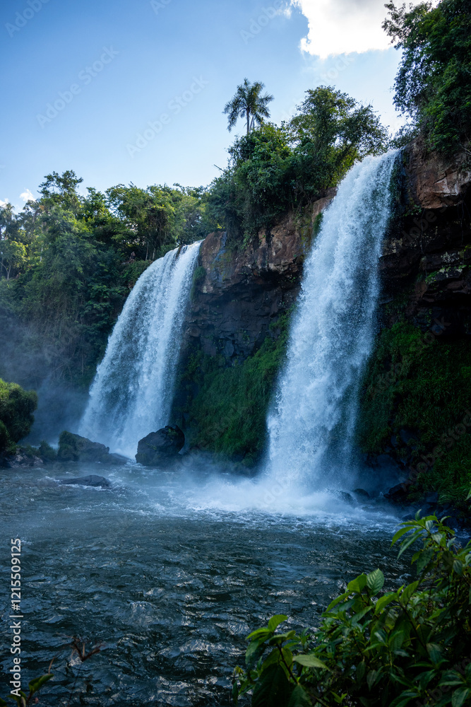 Brasilien, Pflanzen, Tiere, Landschaften, Wasser Brasilien, Pflanzen, Tiere, Landschaften, Wasser