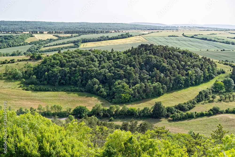Obraz premium Breathtaking View of Forest in a Heart Form in a Sunny Landscape