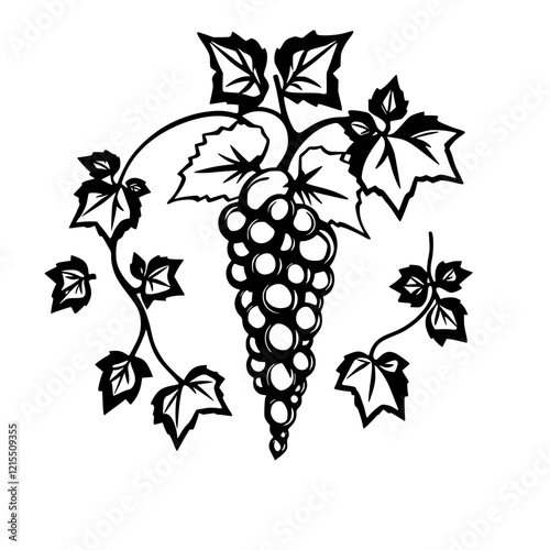 Elegant Black and White Grapevine Illustration: A Vintage Botanical Design