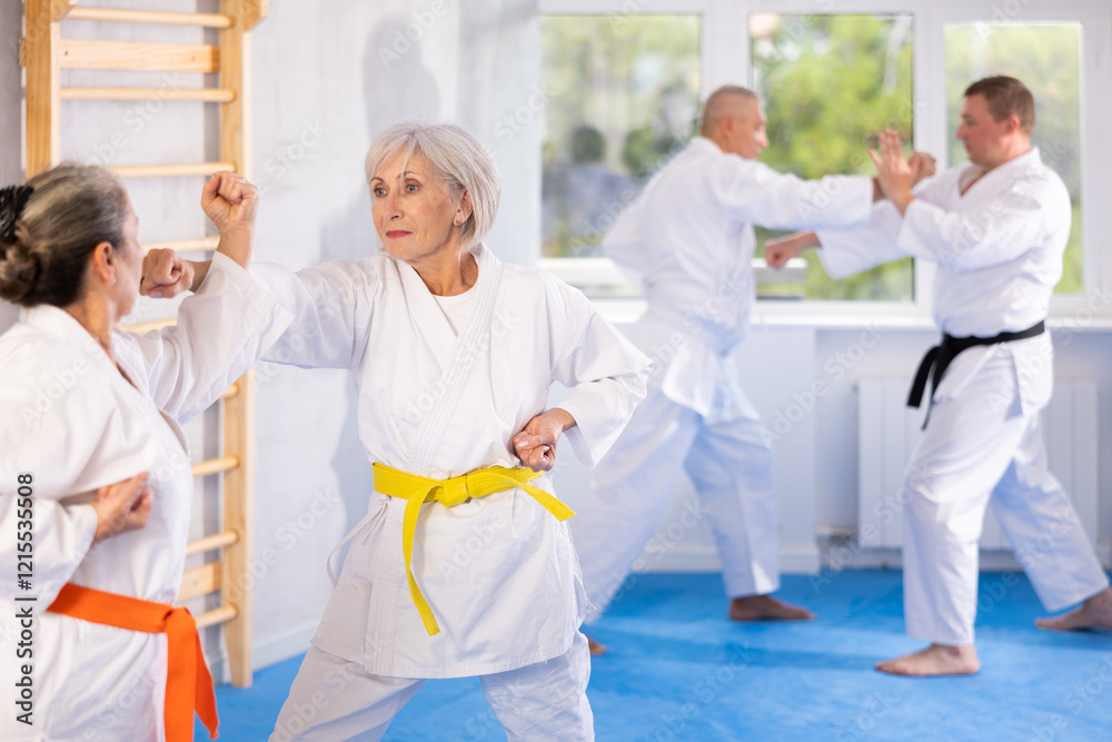 Obraz premium Intense oriental fight session, senior athletic practice combat karate techniques with male teacher, demonstrating agility and self-control in martial art single combat