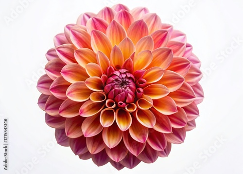 Stunning Aerial View of a Single Dahlia Flower Isolated on White Background