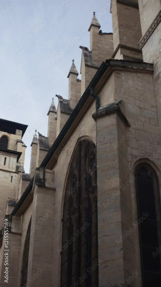 Architectural details of lyon cathedral's exterior, highlighting stone walls, pinnacles, and gothic arches Architectural details of lyon cathedral's exterior, highlighting stone walls, pinnacles, and gothic arches