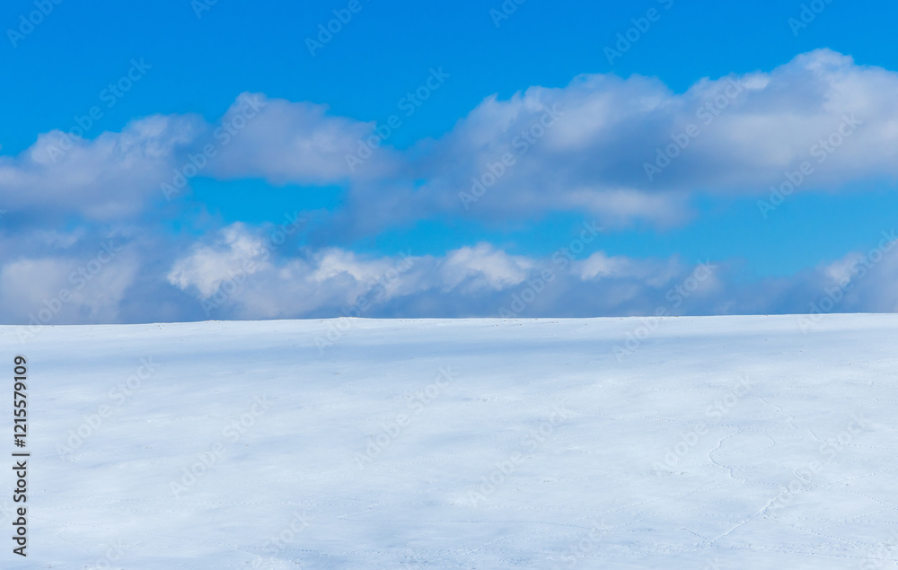 Landscape with a field covered with snow and blue sky with clouds