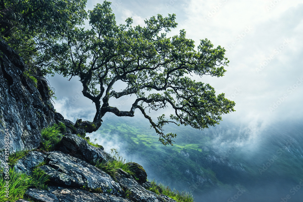The image depicts a lone tree growing on a rocky cliff, with its branches reaching out into a misty, fog-filled valley The image depicts a lone tree growing on a rocky cliff, with its branches reaching out into a misty, fog-filled valley