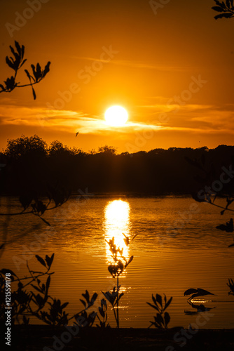 Atardecer Estero El Solado, San Carlos photo