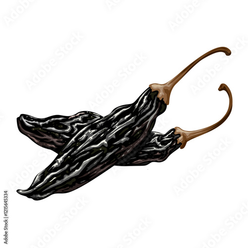 Illustration of dried Aji panca chili, also known as Peruvian red pepper, isolated on white background. photo