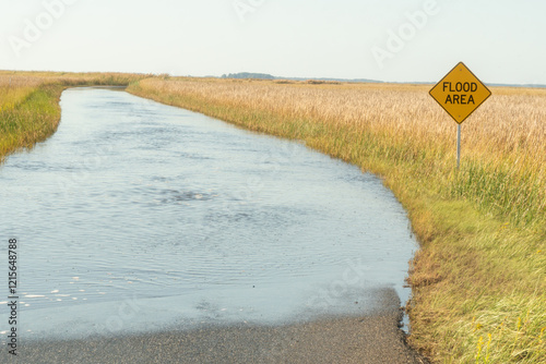 an ironic road sign that reads flood area on a former road that is now a beach, the result of woke rising sea levels combined with land erosion creating a climate disaster claiming real estate