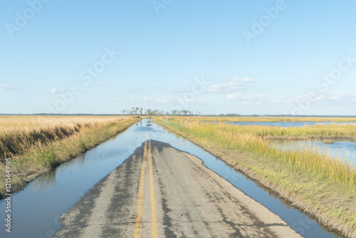 View of a rural American paved road with salt water collecting upon the double yellow lined asphalt due to rising sea levels combined with land erosion 