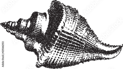 Seashell vintage y2k stipple art, ocean halftone stipple brutalist retro vector png with transparent background, spiral 2000s aesthetic photocopy effect tattoo