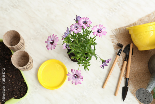 Composition with blooming p...