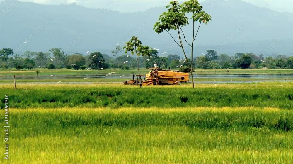 MAQUINARIA AGRICULTURA