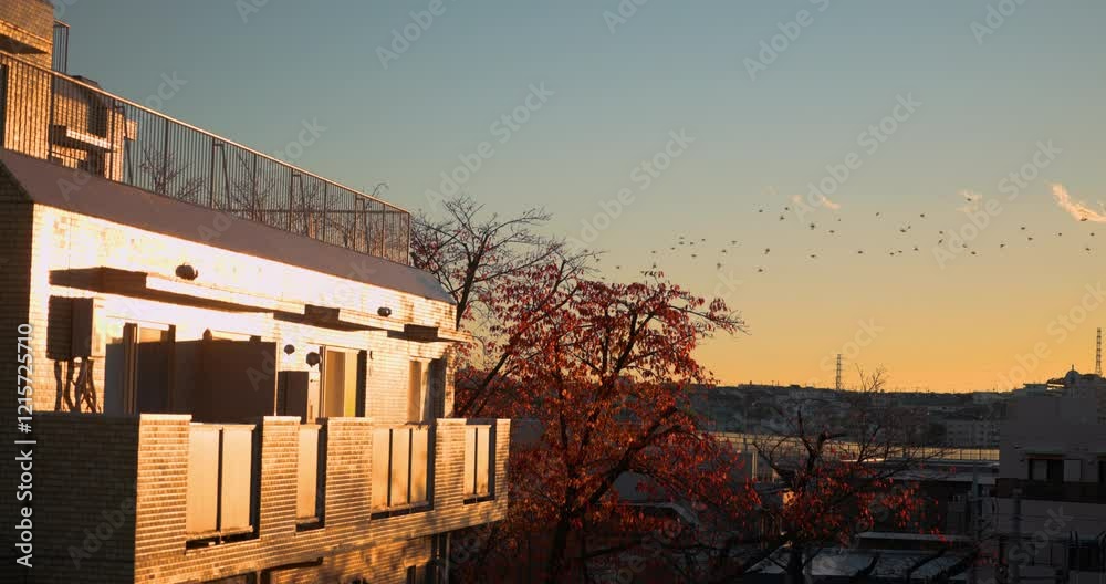A golden Tokyo sunset contrasts with red autumn foliage, a glowing urban facade A golden Tokyo sunset contrasts with red autumn foliage, a glowing urban facade