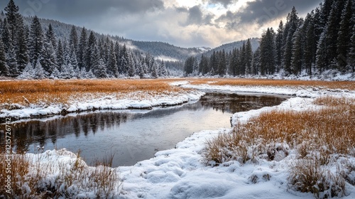 Wallpaper Mural Serene winter landscape featuring a snowy field by a river and forest under a dramatic cloudy sky with low key lighting. Torontodigital.ca
