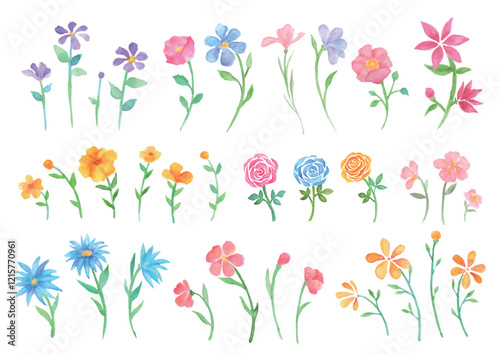 優しいタッチの色々な水彩の花セット