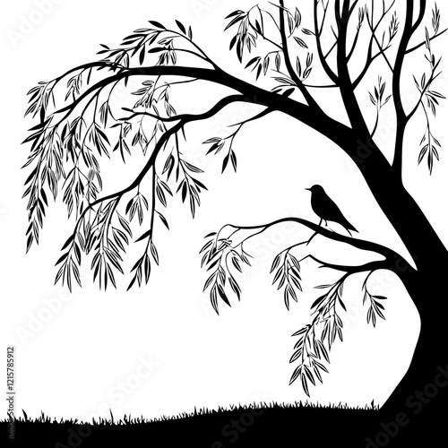 Willow tree branch silhouette vector illustration.