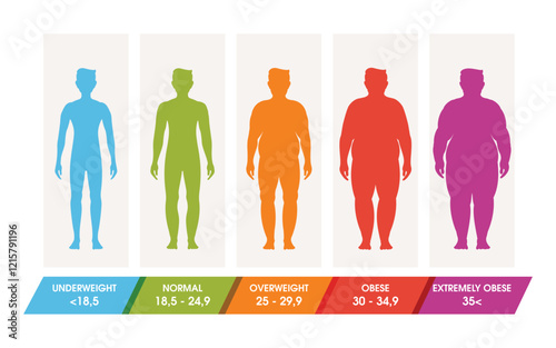 Body mass index vector illustration design template